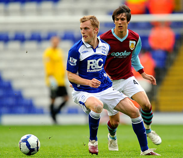 决定引入更 决定引入更